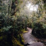 Australia / Julia i Sam Gospo