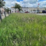 15.06.2022. Kielce. Zarośnięte pasy zieleni / Wiktor Taszłow / Radio Kielce