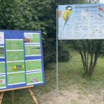 08.06.2022. Sandomierz. Ogród przy Collegium Gostomianum / Grażyna Szlęzak / Radio Kielce