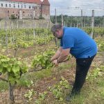 04.06.2022. Sandomierz. Winnica ojców dominikanów. Na zdjęciu: o. Marcin Lisak - przeor klasztoru ojców dominikanów w Sandomierzu / Grażyna Szlęzak / Radio Kielce