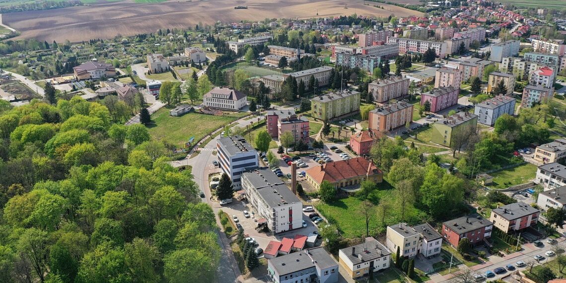 Kazimierza Wielka będzie piękniejsza. Dzięki ogrodom kieszonkowym