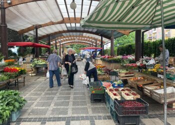 Tzw. zielony rynek w Sandomierzu. Warzywa i owoce / Grażyna Szlęzak / Radio Kielce