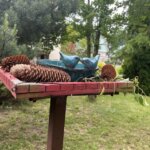 08.06.2022. Sandomierz. Ogród przy Collegium Gostomianum / Grażyna Szlęzak / Radio Kielce