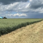 21.06.2022. Jałowęsy. Dni Pola / Fot. Emilia Sitarska