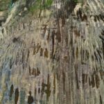 02.06.2022. Sielpia. Zalew / Jarosław Kubalski / Radio Kielce