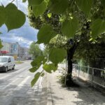 14.06.2022. Kielce. Ulica Częstochowska. Wytarta zebra oraz niewidoczny znak drogowy w pobliżu urzędu skarbowego / Jarosław Kubalski / Radio Kielce