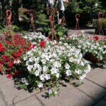 11.06.2022. Busko-Zdrój. Festiwal Kwiatów / Marta Gajda-Kruk / Radio Kielce