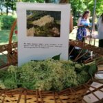 11.06.2022. Busko-Zdrój. Festiwal Kwiatów / Marta Gajda-Kruk / Radio Kielce