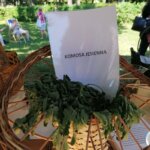 11.06.2022. Busko-Zdrój. Festiwal Kwiatów / Marta Gajda-Kruk / Radio Kielce