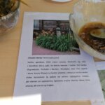 11.06.2022. Busko-Zdrój. Festiwal Kwiatów / Marta Gajda-Kruk / Radio Kielce