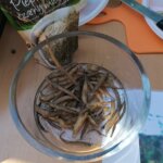 11.06.2022. Busko-Zdrój. Festiwal Kwiatów / Marta Gajda-Kruk / Radio Kielce