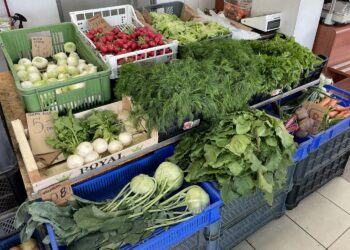 02.06.2022. Starachowice. Stragany przy Galerii Skałka. Tegoroczne warzywa i owoce / Anna Głąb / Radio Kielce