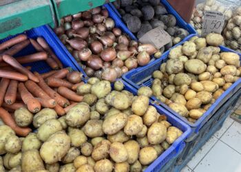 Ceny warzyw i owoców na zielony rynku w Sandomierzu (27.07.2023)