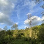 Burze jeszcze nie odeszły, ale widać ich kres [PROGNOZA POGODY]