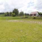 W drugim rzędzie (od lewej):