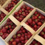 05.06.2022. Huta Szklana. Dzień Świętokrzyskiej Truskawki / Wiktor Taszłow / Radio Kielce