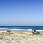 Australia / Julia i Sam Gospo