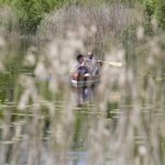 11.06.2022 Kielce. Kadzielnia Sport Festiwal / Jarosław Kubalski / Radio Kielce