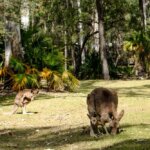 Australia / Julia i Sam Gospo