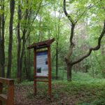 01.06.2022. Jaworznia. Otwarcie ścieżek dydaktycznych / Bartosz Bogucki / Radio Kielce