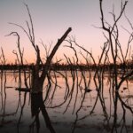 Australia / Julia i Sam Gospo