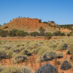 Australia / Julia i Sam Gospo