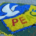 Sycylia / Fot. Danuta Rasała