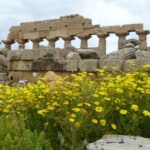 Sycylia / Fot. Danuta Rasała