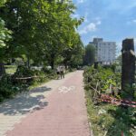 14.07.2022. Kielce. Wycinka drzew przy ul. Bohaterów Warszawy / Fot. Wiktor Taszłow - Radio Kielce