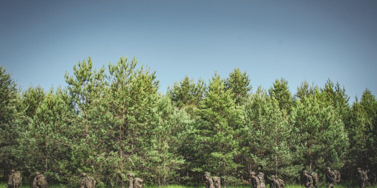 21.07.2022. Poligon Nowa Dęba. Sprawdzian w upale / Fot. ppor. Daniel Woś - ŚBOT