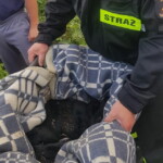 Fot. KP PSP w Staszowie