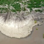 22.07.2022. Umianiowice. Quadowcy zniszczyli siedlisko zatoczka łamliwego / Fot. Zespół Świętokrzyskich i Nadnidziańskich Parków Krajobrazowych