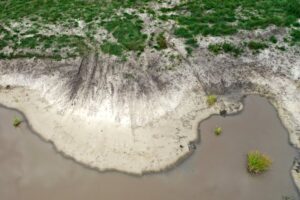 22.07.2022. Umianiowice. Quadowcy zniszczyli siedlisko zatoczka łamliwego / Fot. Zespół Świętokrzyskich i Nadnidziańskich Parków Krajobrazowych