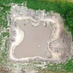 22.07.2022. Umianiowice. Quadowcy zniszczyli siedlisko zatoczka łamliwego / Fot. Zespół Świętokrzyskich i Nadnidziańskich Parków Krajobrazowych