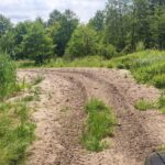 22.07.2022. Umianiowice. Quadowcy zniszczyli siedlisko zatoczka łamliwego / Fot. Zespół Świętokrzyskich i Nadnidziańskich Parków Krajobrazowych