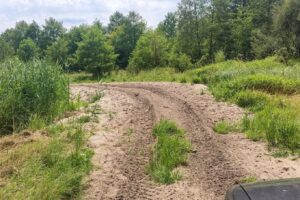 22.07.2022. Umianiowice. Quadowcy zniszczyli siedlisko zatoczka łamliwego / Fot. Zespół Świętokrzyskich i Nadnidziańskich Parków Krajobrazowych