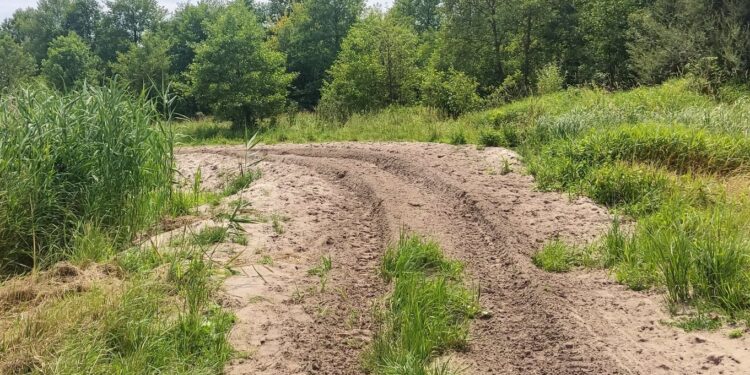 22.07.2022. Umianiowice. Quadowcy zniszczyli siedlisko zatoczka łamliwego / Fot. Zespół Świętokrzyskich i Nadnidziańskich Parków Krajobrazowych