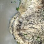 22.07.2022. Umianiowice. Quadowcy zniszczyli siedlisko zatoczka łamliwego / Fot. Zespół Świętokrzyskich i Nadnidziańskich Parków Krajobrazowych