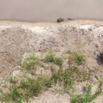 22.07.2022. Umianiowice. Quadowcy zniszczyli siedlisko zatoczka łamliwego / Fot. Zespół Świętokrzyskich i Nadnidziańskich Parków Krajobrazowych