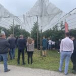 31.07.2022. Letnie Pokazy Czereśniowe sad w Polanowie / Fot. Grażyna Szlęzak - Radio Kielce