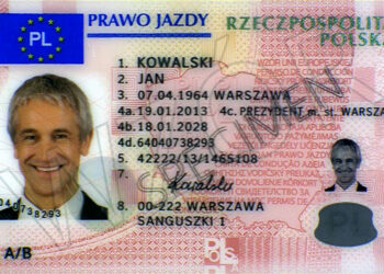 prawo jazdy / źródło: gov.pl