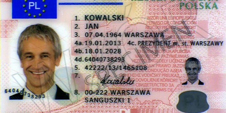 prawo jazdy / źródło: gov.pl