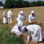 23.07.2022. Sandomierz. Rekonstrukcja żniw / Fot. Grażyna Szlęzak - Radio Kielce