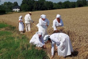 23.07.2022. Sandomierz. Rekonstrukcja żniw / Fot. Grażyna Szlęzak - Radio Kielce