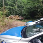 28.07.2022. Międzygórz. Wypadek przy wycince drzew / Fot. policja