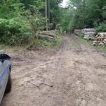 28.07.2022. Międzygórz. Wypadek przy wycince drzew / Fot. policja