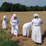 23.07.2022. Sandomierz. Rekonstrukcja żniw / Fot. Grażyna Szlęzak - Radio Kielce