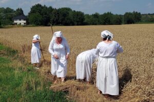 23.07.2022. Sandomierz. Rekonstrukcja żniw / Fot. Grażyna Szlęzak - Radio Kielce