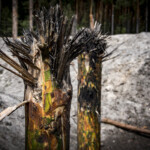 09.07.2022 Nowa Dęba. Szkolenie saperów / Fot. ppor. Daniel Woś - ŚBOT