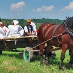 23.07.2022. Sandomierz. Rekonstrukcja żniw / Fot. Grażyna Szlęzak - Radio Kielce